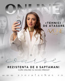 Cursul "Secretele rezistentei perfecte"